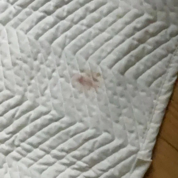 🏈 football stadium bench blanket. Quilted reversible. Rolls up compact used - Picture 5 of 12